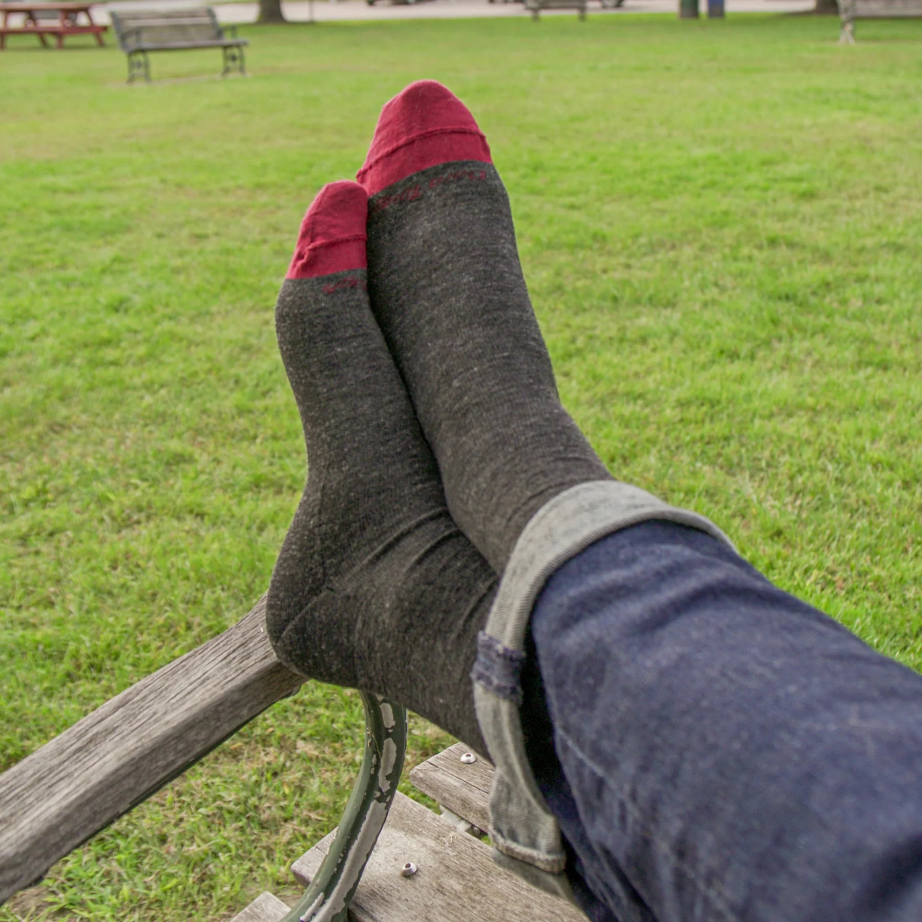 Men's Solid Crew Lightweight Lifestyle Socks | 6032