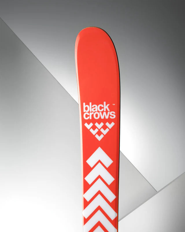 Camox Birdie Skis