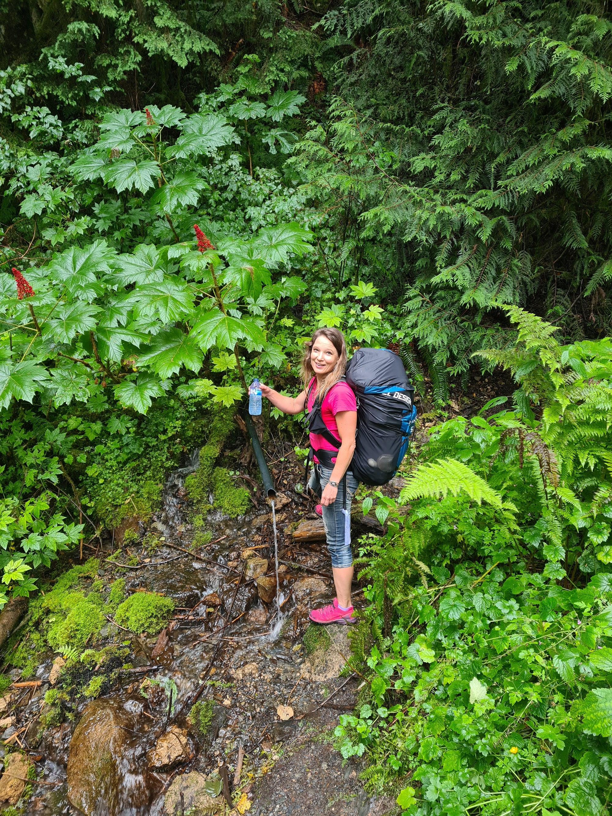 Kruyer III + SAK III