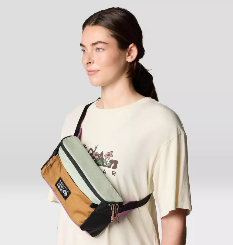 Camp 4 Hip Pack