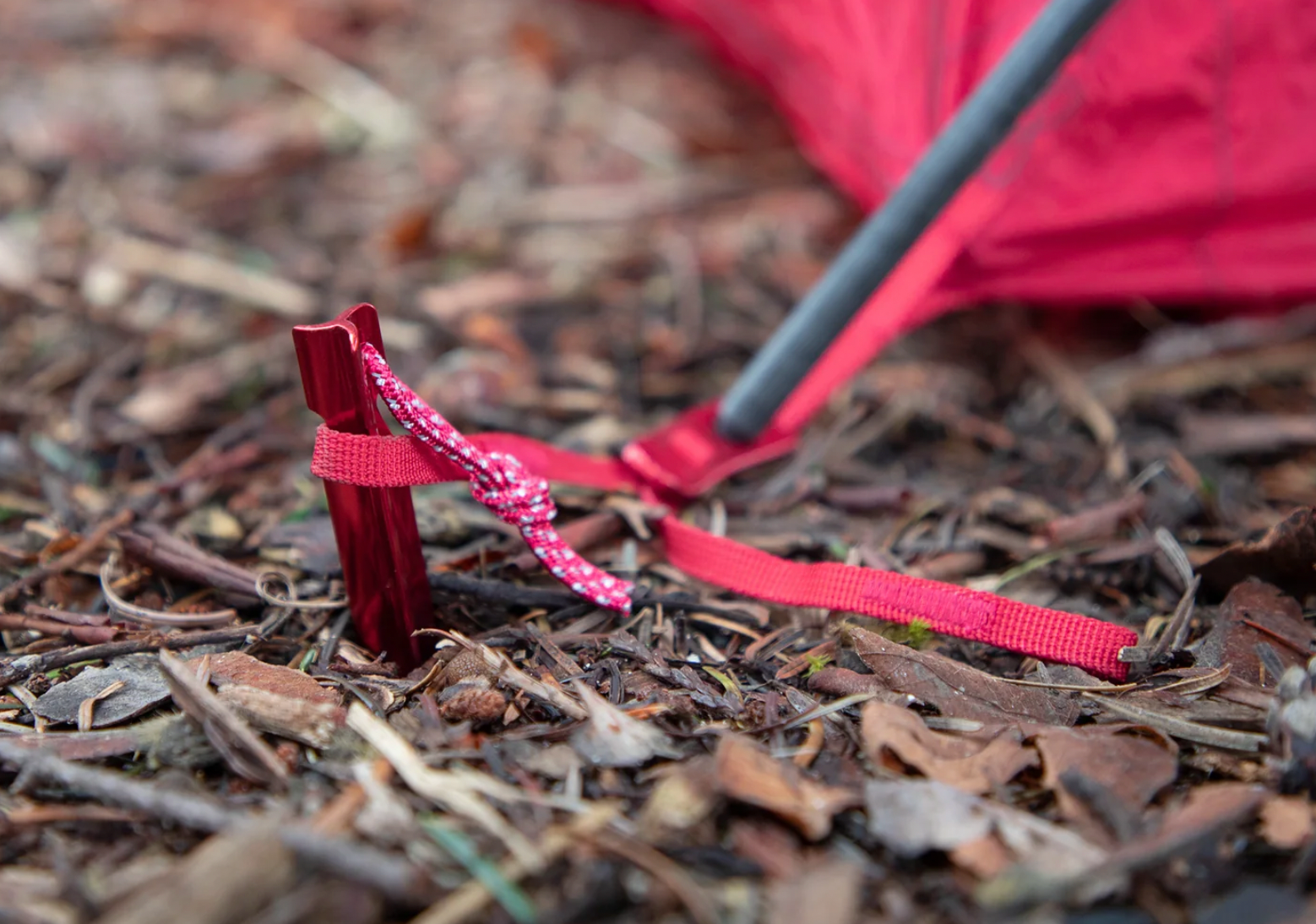 Groundhog Stakes Standard Single Peg