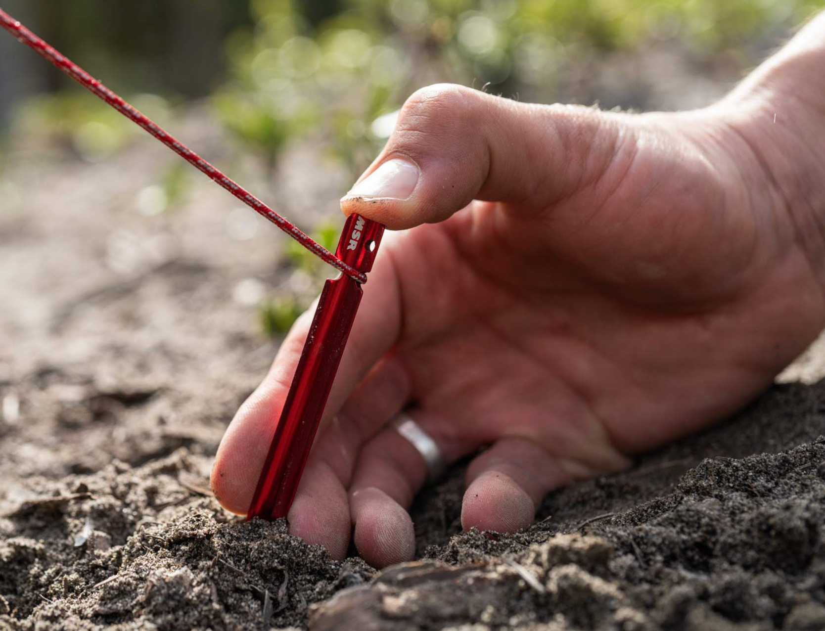 Groundhog Stakes Standard Single Peg