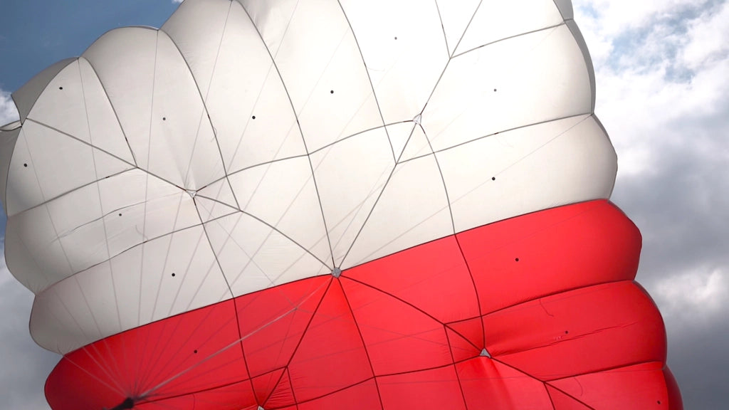 Fluid Light Evo L (125 kg ) - Preowned